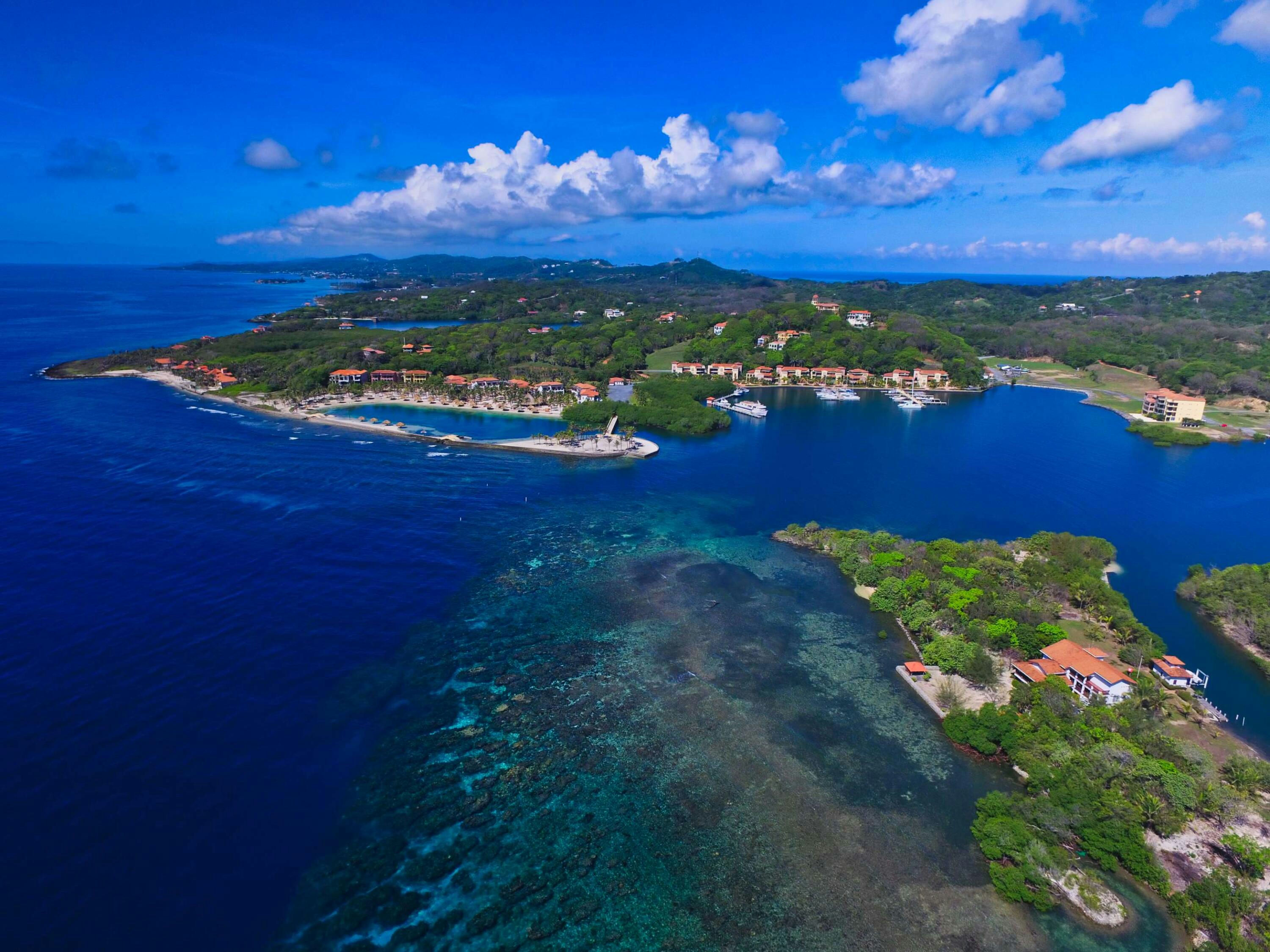 in Parrot Tree Plantation