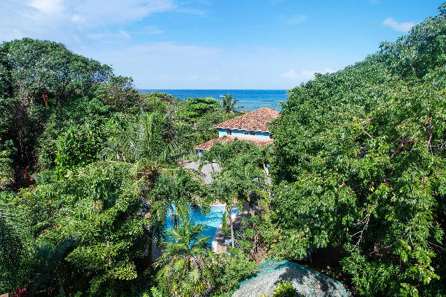 Gibson Bight beachfront villa