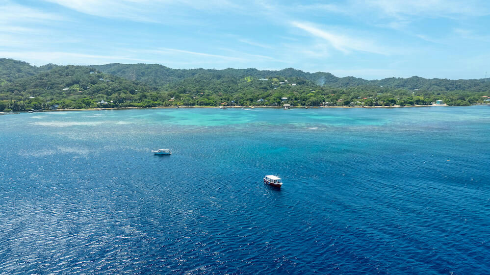 9 Bed 8.00 Bath in Sandy Bay