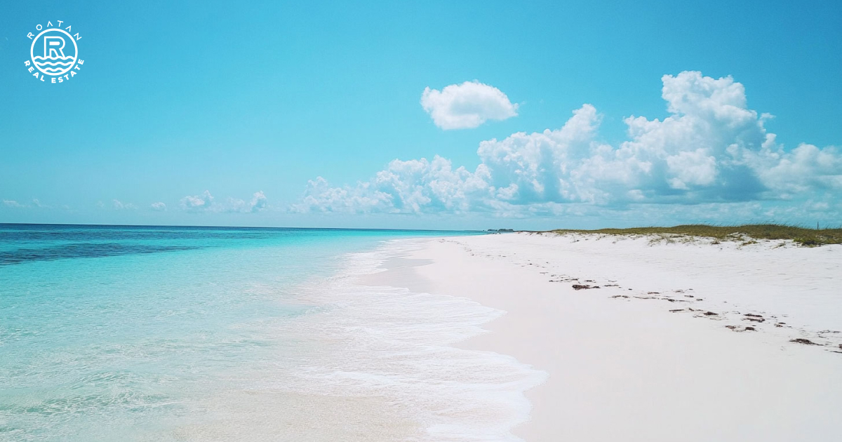 Roatan sand background